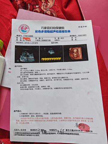 journal_insert_pic_4362717084