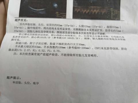 journal_insert_pic_4362926155