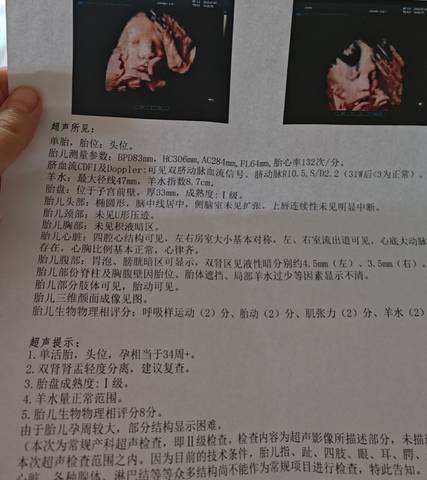 journal_insert_pic_4363071004
