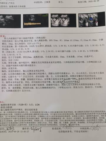 journal_insert_pic_4411922393
