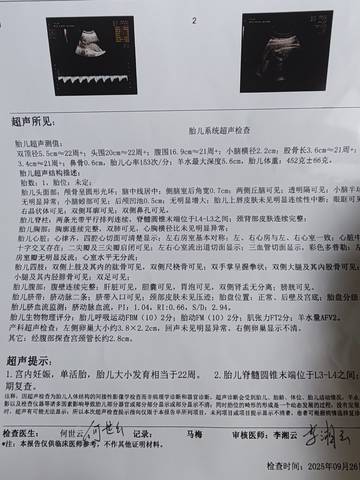 journal_insert_pic_4414008351