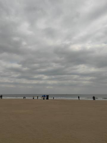 journal_insert_pic_4414758102