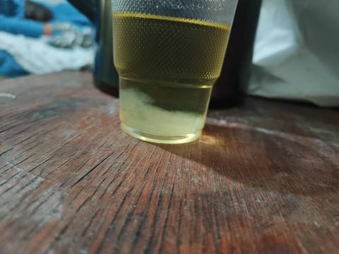 journal_insert_pic_4414800893