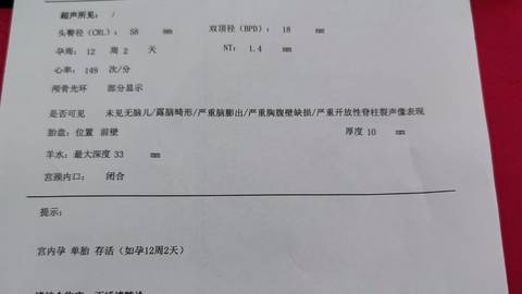 journal_insert_pic_4440078213