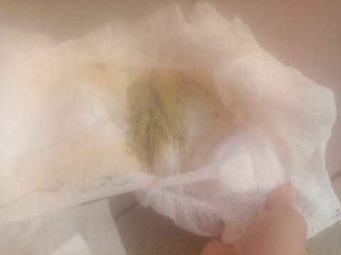 journal_insert_pic_4441038151