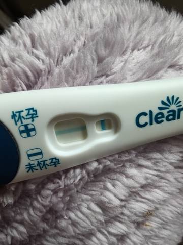 journal_insert_pic_4441038269