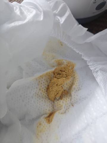 journal_insert_pic_4441131459