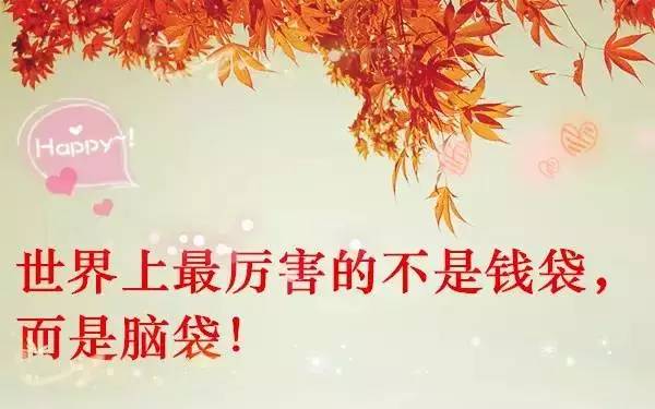 journal_insert_pic_971621287