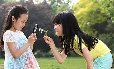 journal_insert_pic_962144300