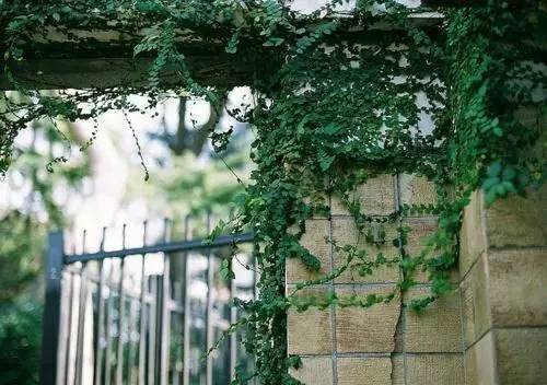 journal_insert_pic_961481330