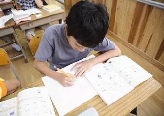 journal_insert_pic_952346954