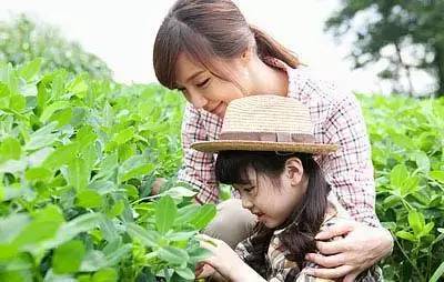 journal_insert_pic_952084212