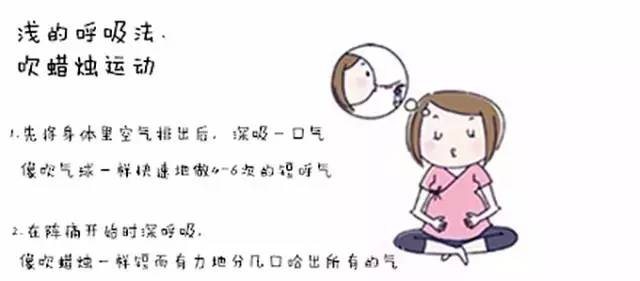 journal_insert_pic_784909637