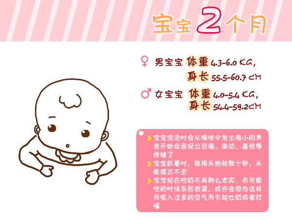 journal_insert_pic_960764772