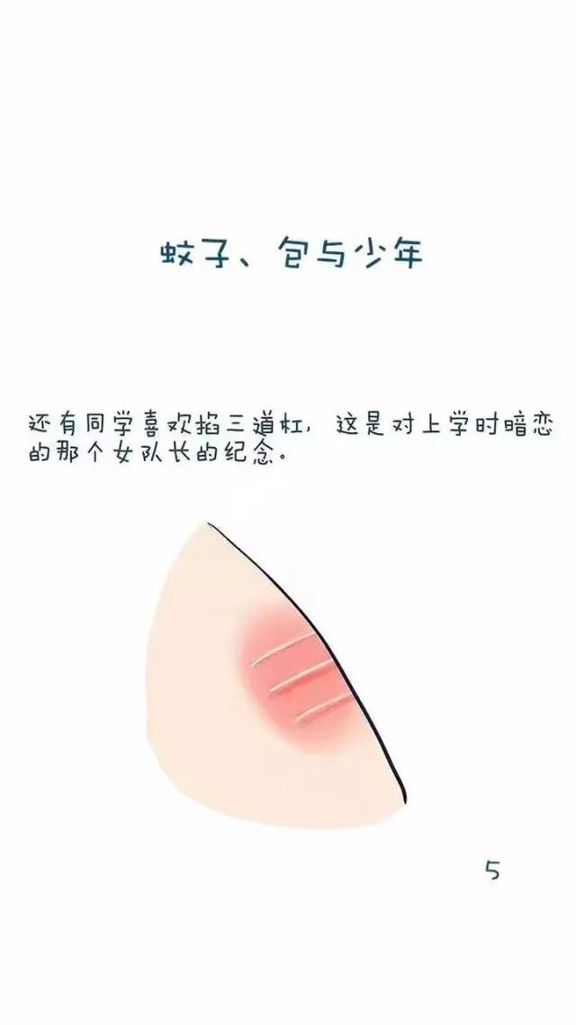 journal_insert_pic_967165478