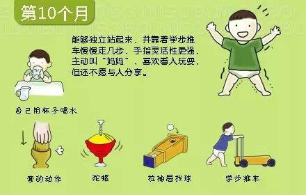 journal_insert_pic_967409989